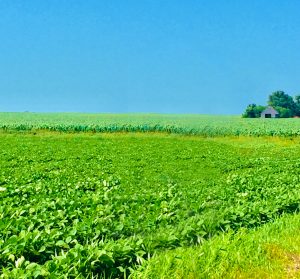 Chuck Thompson farm