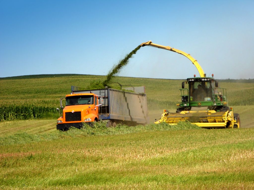 Alfalfa harvest on organic transition acres on Grohs farm