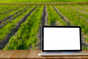 Organic crop plans set your farm up for success