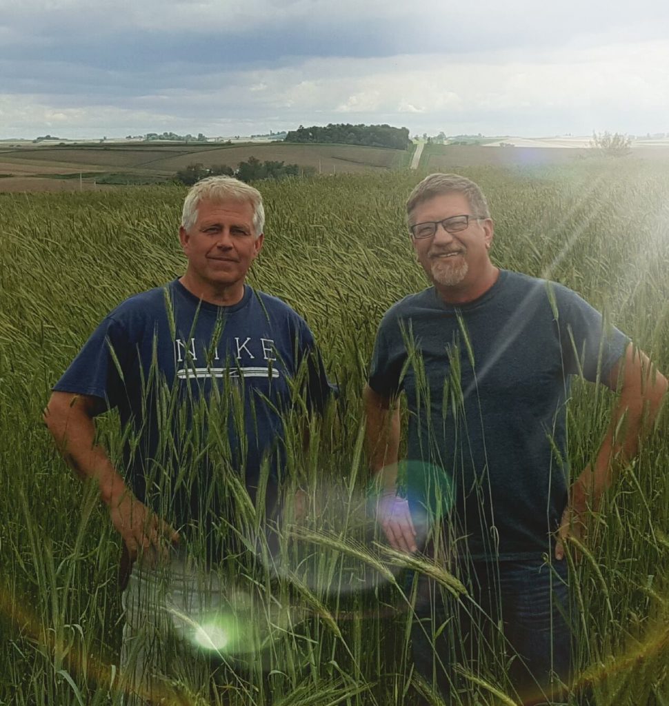 Organic Rye Key to Distillery's Prohibition Era Spirits - AgriSecure