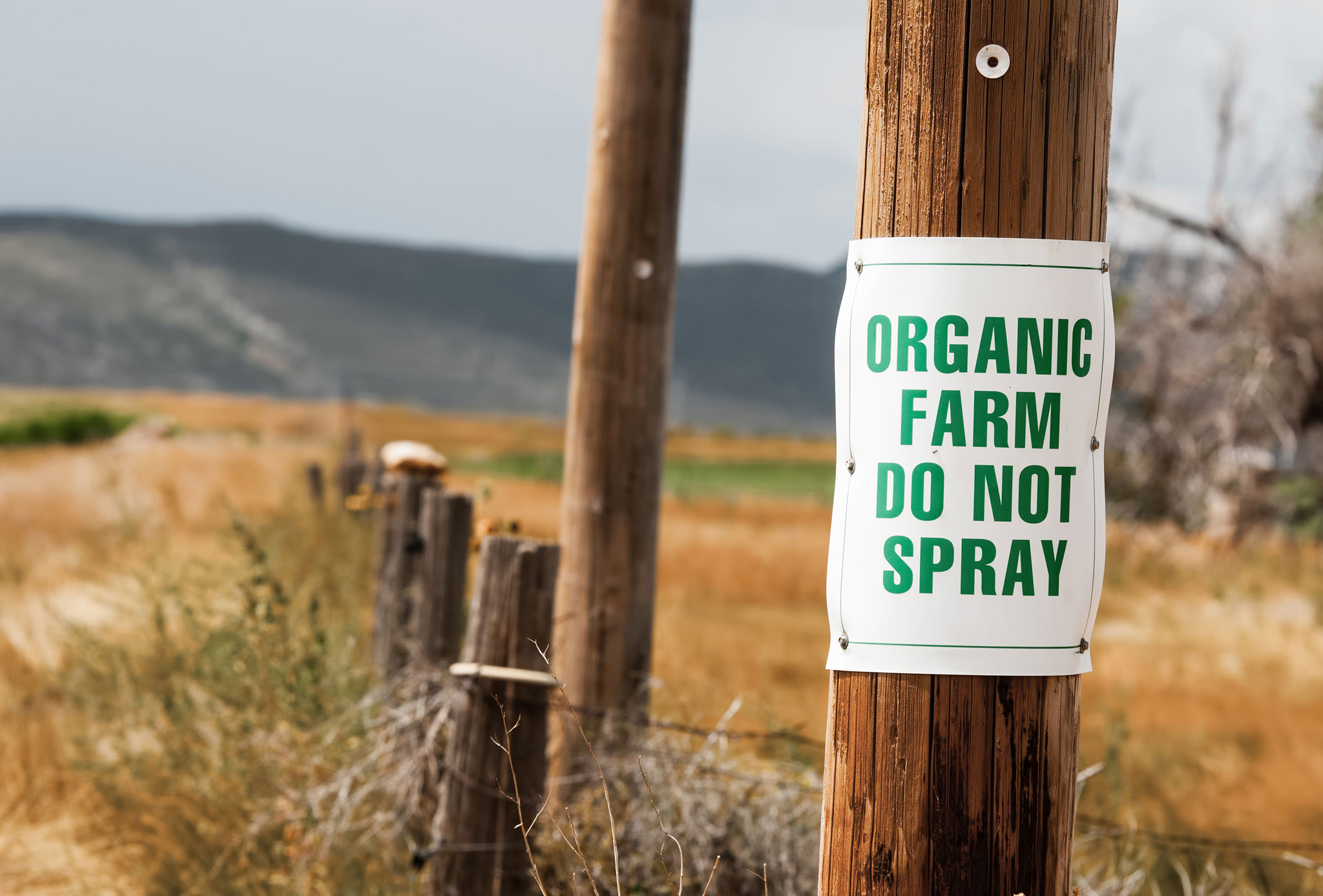 Preventing Pesticide Drift (And What to Do if it Happens)